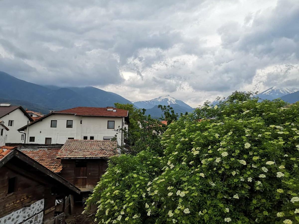 Todeva House Hotel And Tavern Bansko Eksteriør billede